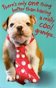 Süße GEBURTSTAGSKARTE FÜR COOLEN OPA VOM ENKELKIND - Amerikanische Grüße + Umschlag - Bild 1 von 4