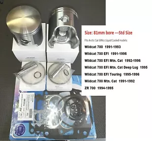 1991-95 96 97 98 99 00 Arctic Cat L/C 700 ZR_Wildcat Piston & Gasket Rebuild KIT - Picture 1 of 3