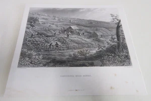 Concordia Gold Mines - Daylesford - James C. Armytage - Antique Print - 1800s - Picture 1 of 9