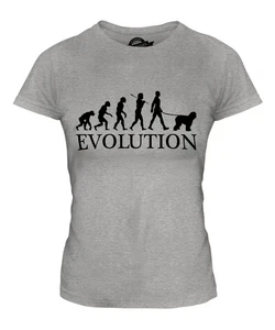 BOBTAIL EVOLUTION DES MENSCHEN UND HUND DAMEN T-SHIRT TEE SHIRT TOP 36 38 40 42 - Picture 1 of 14
