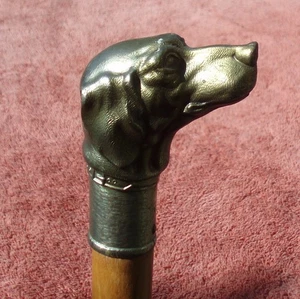 VINTAGE ANTIQUE ASIAN KOREA HUNTING DOG HEAD HANDLE UMBRELLA WALKING STICK CANE - Picture 1 of 24