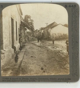 Street Scene Santa Marta Game Cocks Colombia Underwood Stereoview - Picture 1 of 3