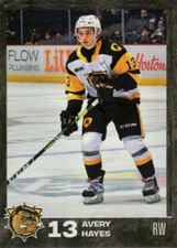2021/22 Hamilton Bulldogs - AVERY HAYES [Wilkes-Barre/Scranton Penguins] AHL