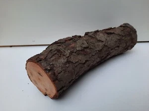 Drechsel Holz Ø 24 x 6 cm Erle verstockt, trocken, mit Rinde, Basteln E-IV - Bild 1 von 7