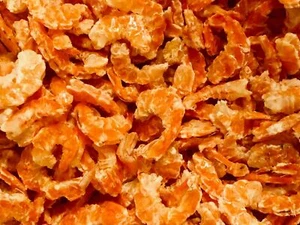 Dried Shrimp Grade Premium Louisiana (Size Med.) - Picture 1 of 1