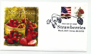 5201 3c Strawberries, coil, Panda Cachets, pictorial, FDC - Bild 1 von 1