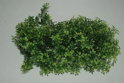 FMR Vivarium realistische Kunststoff Pflanze Australischer Ahorn 38 cm für Reptilien geeignet