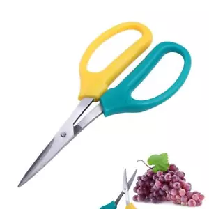 Pruners Garden Scissors Sharp Grape Scissors Pruning Shears Pruners - Picture 1 of 12