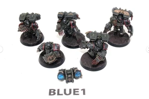 Warhammer Space Marines Vanguard Veterans BLUE1 - Picture 1 of 1