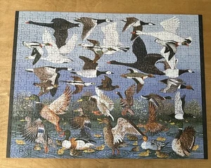 Puzzle Melograno Artpiece Decollo di Pat Scott 500 pezzi Completo - Foto 1 di 4