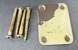 Placa de cuello personalizada FujiGen/Matsumoko BRADLEY LES PAUL de principios de los 70 - Hecha en Japón - Imagen 1 de 5