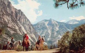 Tarjeta postal de colección CP424 de paseos a caballo en el Parque Nacional Kings Canyon California - Imagen 1 de 2