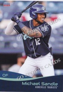 Asheville Tourists Michael Sandle RC 2022 novato Houston Astros - Imagen 1 de 1
