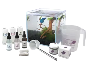 Boutique Betta 2,1 Gallonen randloses Aquarium Komplettset mit Fischfutter und mehr! - Bild 1 von 9