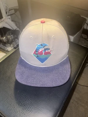 Gorra unisex Pink Dolphin gris y azul (118) Foto 1 de 4