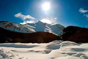 Canadian Rocky Mountains Icefields Parkway Canada Photograph Picture Print - Picture 1 of 1