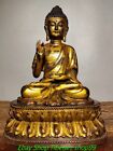 15.7" Old Tibet Pure Bronze Gilt Shakyamuni Sakyamuni Amitabha Buddha Statue
