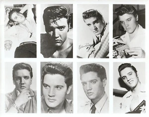 Elvis Presley Werbefoto 8x10 mit acht Bildern s/w glänzend - Bild #009 - Bild 1 von 1