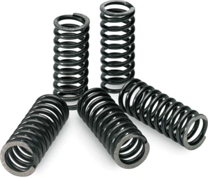 PRO CIRCUIT CSK10250-CS CLUTCH SPRINGS PER SUZUKI RM-Z 250 2004 - Foto 1 di 1