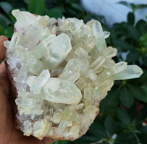 Raro esemplare a grappolo cristallo quarzo piramide fantasma verde naturale 990 g - Foto 1 di 15