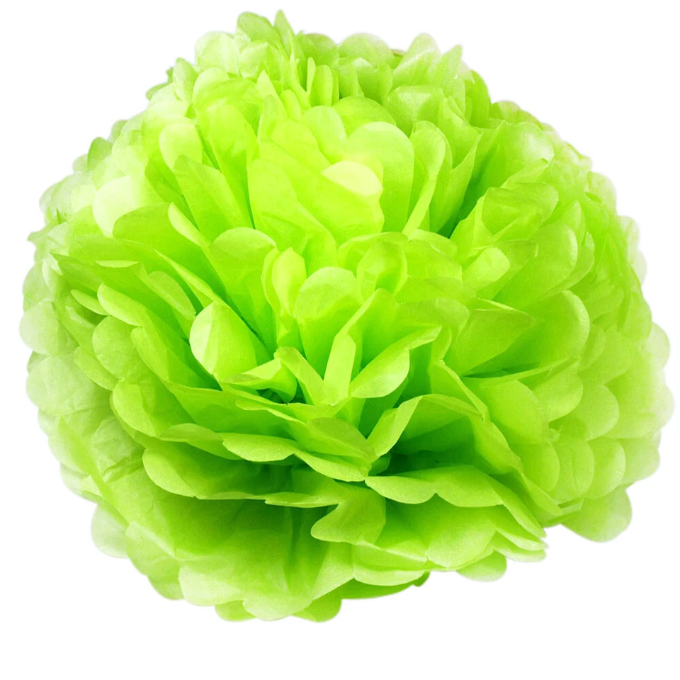 6PCS Paper Flower Tissue Pom Pom Hanging Ball Wedding Babyshower Party Decor - Image 1 of 4