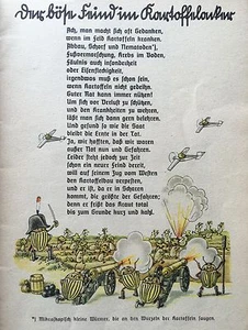 Terzo Reich. Köstlin. La Fibbia del Coleottero delle Patate Servizio di Difesa del Coleottero delle Patate. 1941 - Foto 1 di 1