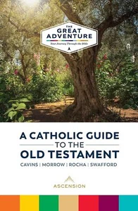 A Catholic Guide to the Old Testament by Jeff Cavins - Picture 1 of 1