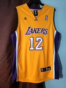 DWIGHT HOWARD LOS ANGELES LAKERS AUTOGRAPHED JERSEY - Picture 1 of 9