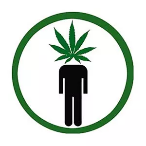 Olla Cabeza Hoja de Cannabis Redondo Imán de Nevera 75mm Diámetro (Cv) - Imagen 1 de 1