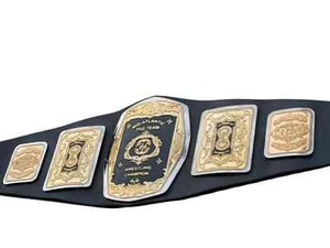 AWA World Heavy Weight Wrestling Championship Replica Title Belt Brass Adult - Picture 1 of 4