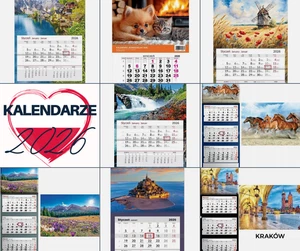 Polski Kalendarz Miesięczny Dzielny 2025 - Organizador Estilo Różne Na Każdy Dzień - Imagen 1 de 177