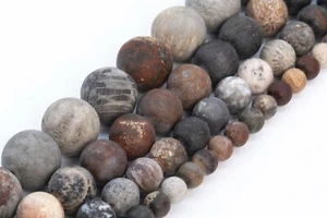 Natural Matte Multicolor Coral Fossil Jasper Grade AAA Round Beads 4-5/6/8/10MM - Picture 1 of 11