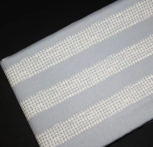 2 Yds of Joann's Indoor/Outdoor Fabric - Light Blue/Cream - Picture 1 of 3