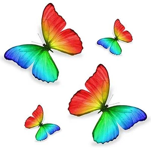 4x sticker adesivi adesivo pc wall auto moto farfalla farfalle arcobaleno murali - Foto 1 di 1