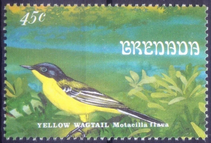 Western Yellow Wagtail, Song Birds, Granada 1993 MNH  Foto 1 de 1