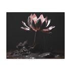 Pink Lotus Canvas Art,Tranquil Home office wall Decor,Lotus Flower wall art