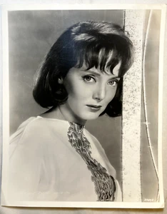 VTG B&W Carolyn Jones Press Photo The Addams Family - Picture 1 of 2