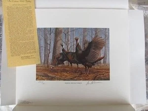 NWTF6 National Wild Turkey Fed. Print w/stamp, foilo Signed #NWTF6XA10 DSS - Picture 1 of 2