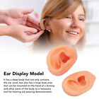 Silikon-Ohr-Modell Menschliches Künstliches Ohr-Display Für Hörgeräte IEM FAT