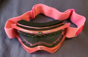 Dragon Alliance DXS  Ski/Snowboard Goggles, Youth Size, Used W/ Bag, Canada Sold - Bild 1 von 10