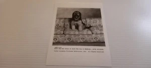 1991 Married with Children 7"×5" B&W Photo Promo Buck "The Dog" Bundy MWC-148 - Picture 1 of 3
