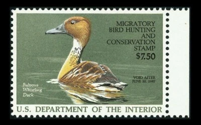 US #RW53; $7.50 DUCK HUNTING STAMP, SUP-OG-MNH, PSE GRADED (98), SMQ $140 - Image 1 of 3