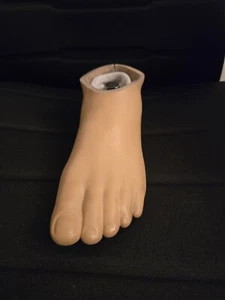 Prosthetic Foot and Shell, Unknown Brand - Size 25, Left, Visible Pyramid, FI - Picture 1 of 8