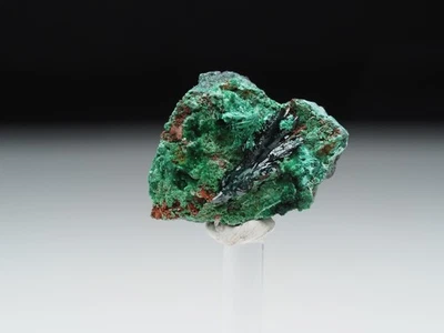 Vandenbrandeit, Malachit, Musonoi, Kongo - Bild 1 von 4