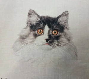 1 Norwegian Forest   Cat  8 X 8 inch Fabric Quilt Squares or Pillows - Picture 1 of 8