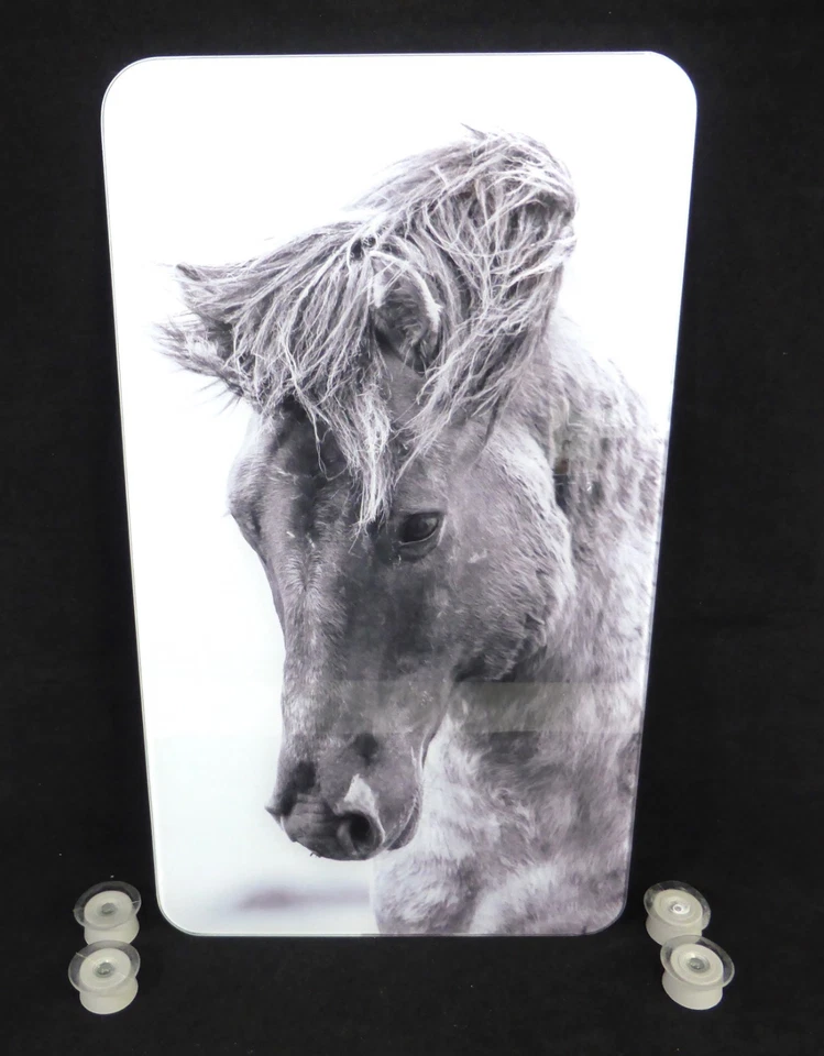 1x Wenko 53991800 Glass Hob Cover Horse/Pony Design with 4 Feet 52cm x 30cm — 第 1/4 张图片