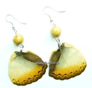 Unique Butterfly Earrings - Cymothoe reinholdi - M6 - Imagen 1 de 1