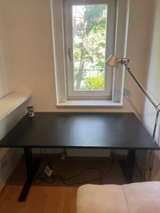 Gunji 160x80 cm Höhenverstellbarer Schreibtisch Elektrisch Stehtisch Desktop - Bild 1 von 1