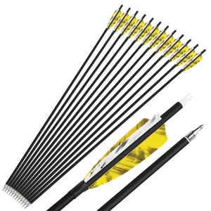 28" 30'' 31" Archery Carbon Arrows SP500 4" Turkey Feathers Bow Hunting Target - Picture 1 of 20