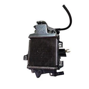 RADIATORE ACQUA HONDA SH MODE 125 JF51E - Bild 1 von 21